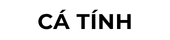 home-logo-5